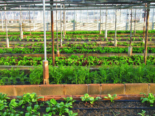 物聯(lián)網技術對農業(yè)的作用 物聯(lián)網技術對農業(yè)的作用