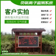 去公園吸氧,看看負氧離子在線監測儀!